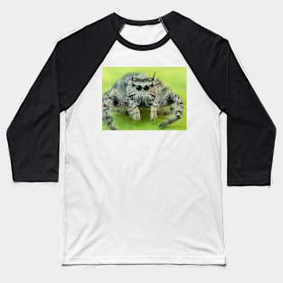 Jumping spider Baseball T-Shirt